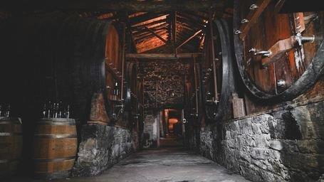 Quinta do Mourao cellar