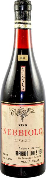 Nebbiolo, 1967