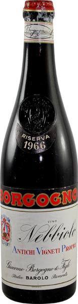 Nebbiolo, 1966